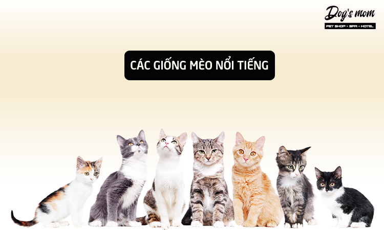 Theo giống mèo