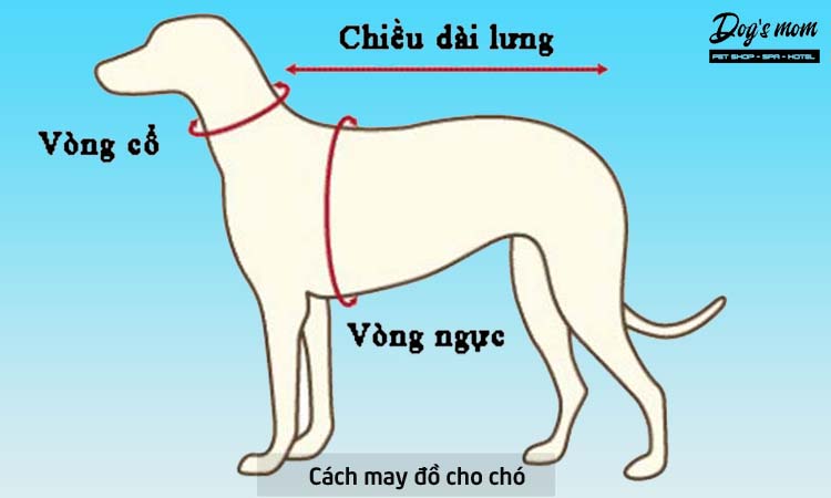 Hướng dẫn cách may đồ cho chó