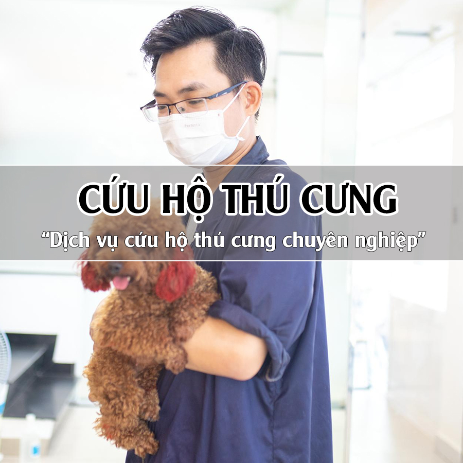 Cứu hộ thú cung