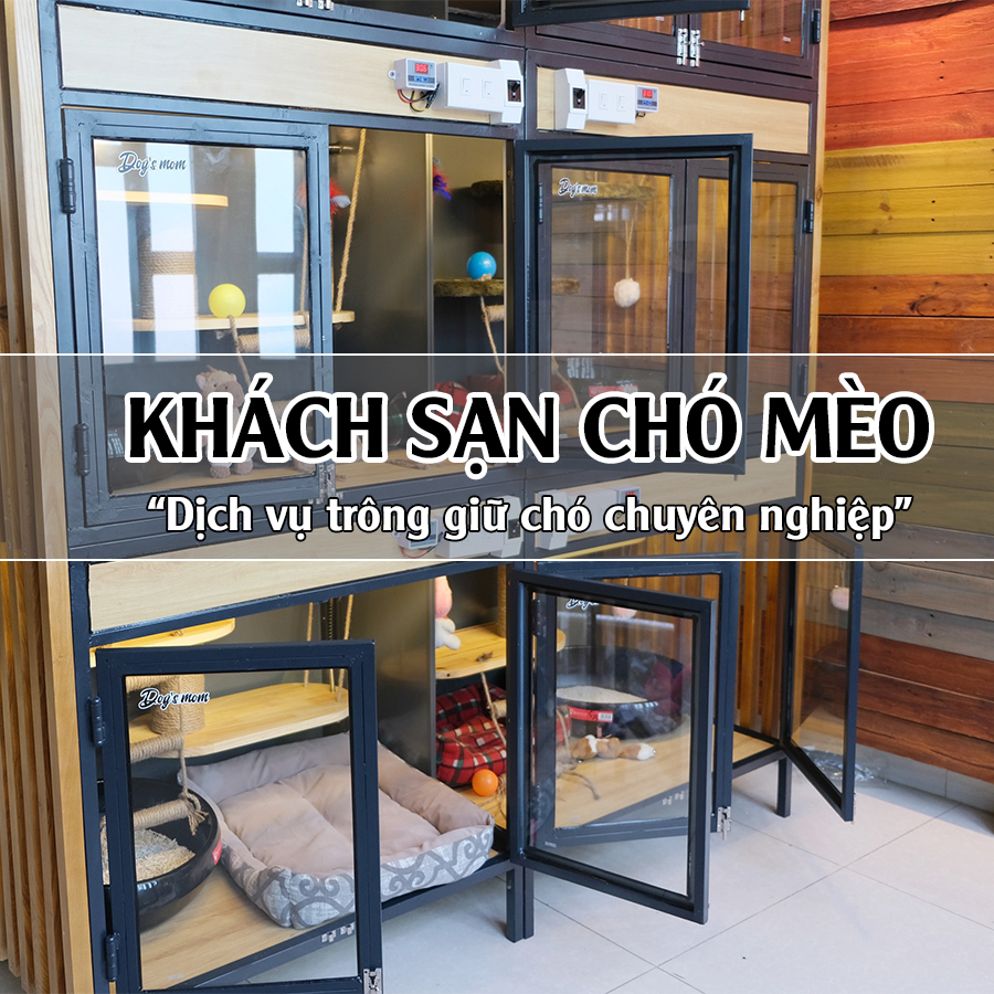 Khách sạn chó mèo