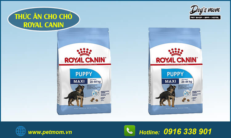 Thức ăn cho chó royal canin