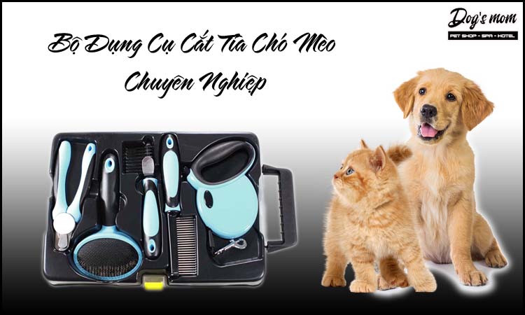 Bộ dụng cụ cắt tỉa chó mèo chuyên nghiệp