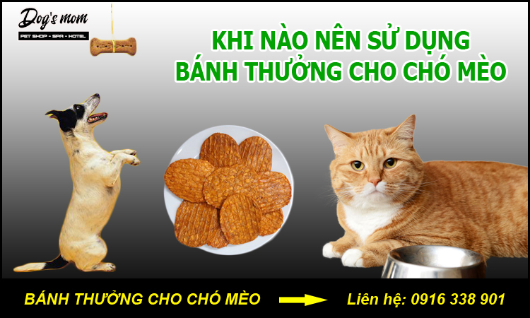 Bánh Thưởng Cho Chó Mèo