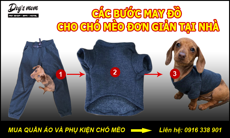 Cách may quần áo cho thú cưng