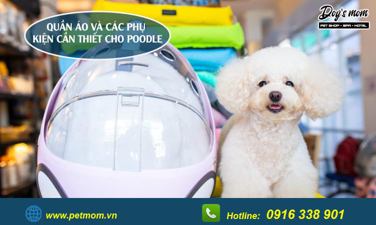 Phụ kiện cho chó Poodle