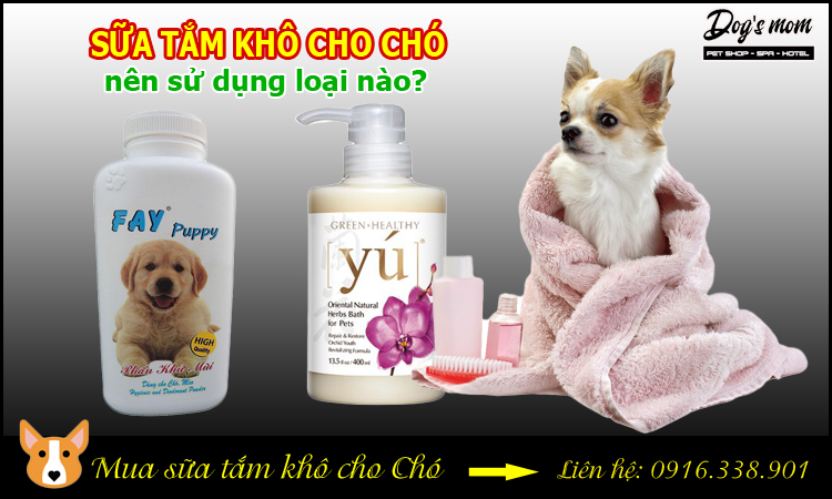 Sữa tắm khô cho chó nên sử dụng loại nào?