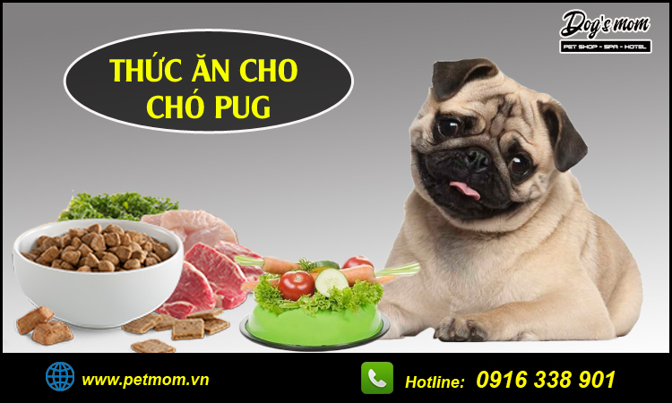 Thức ăn cho chó Pug