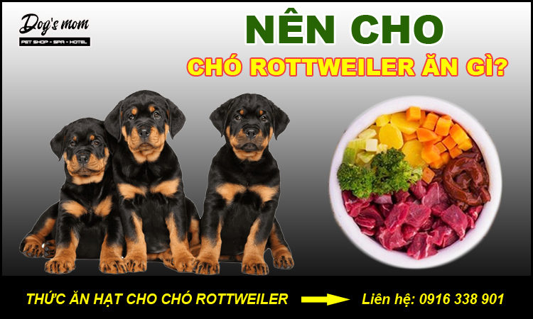 Thức ăn cho chó rottweiler