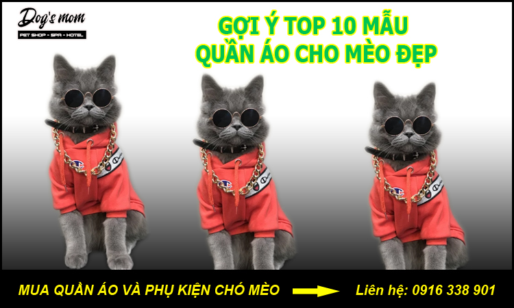 Cách may quần áo cho chó mèo cực đơn giản dễ làm