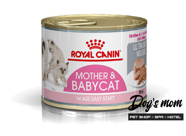 Pate hộp Royal Canin Mother & Baby Cat 