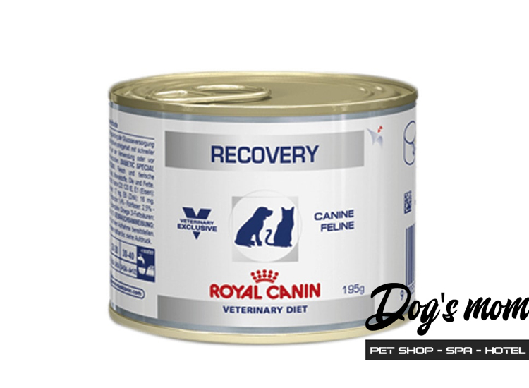 Pate hộp Royal Canin Recovery Phục Hồi Sau Bệnh