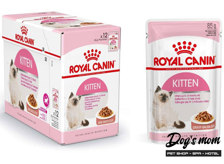 Pate gói Royal Canin Kitten