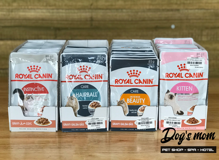 Pate gói Royal Canin Kitten