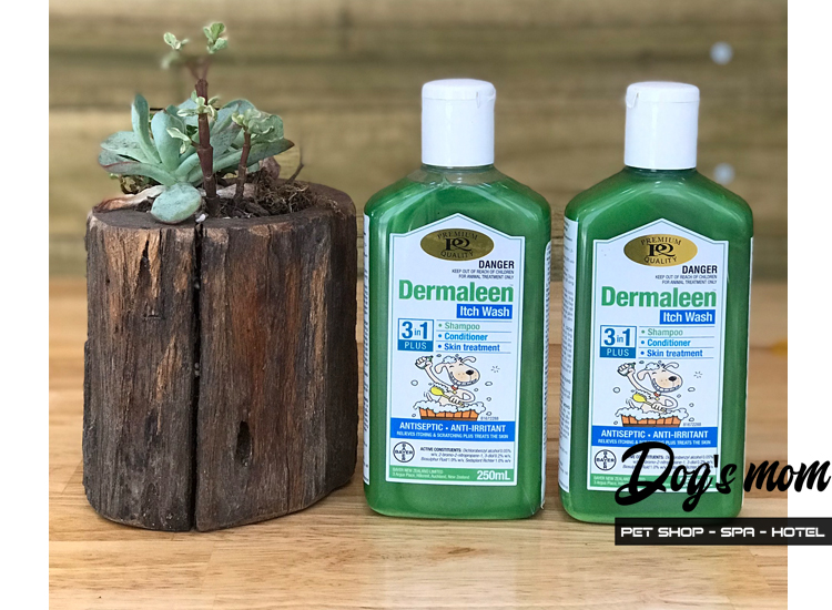 Dầu Gội Trị Viêm Da Dermaleen 250ml