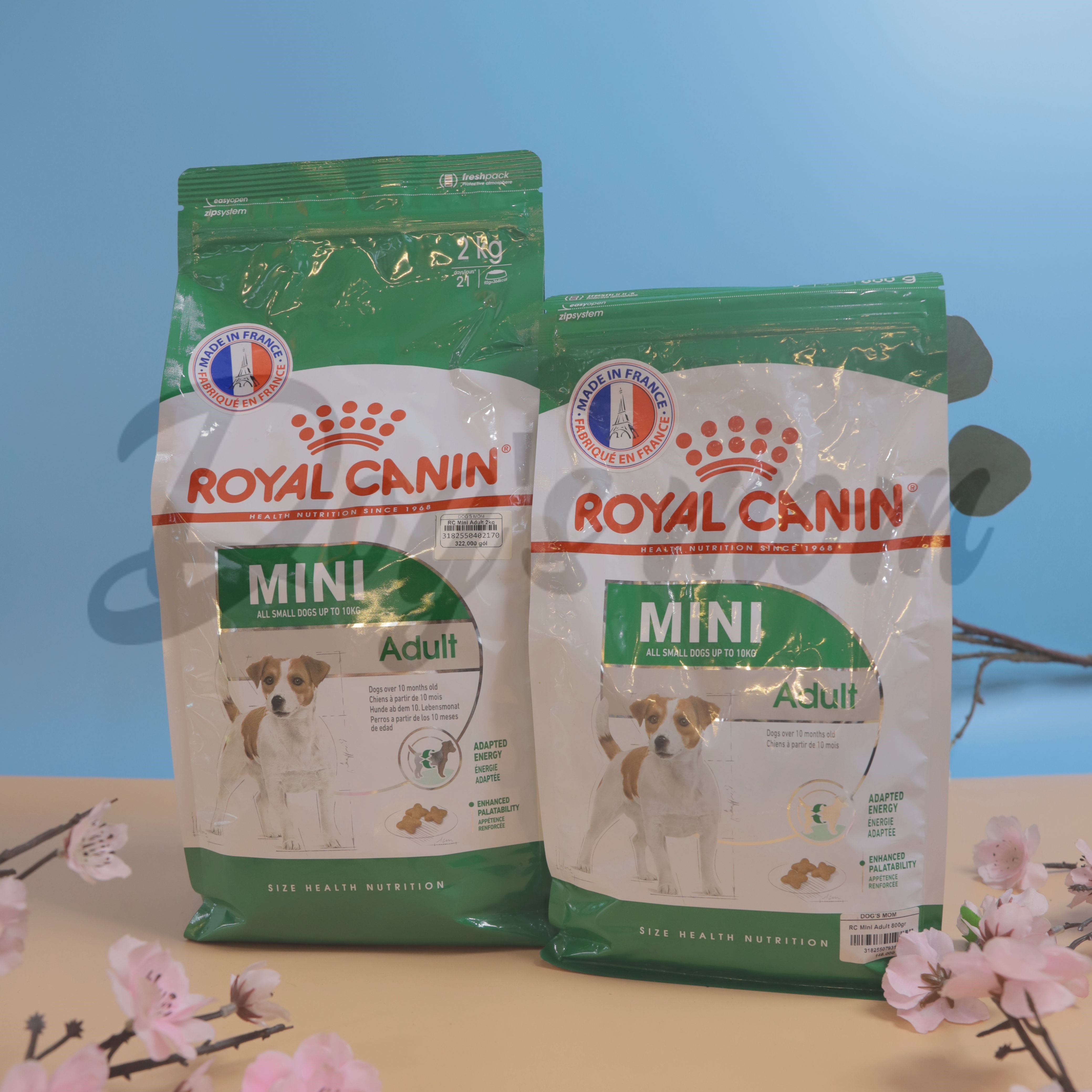 Thức ăn Royal Canin Mini Adult 800g