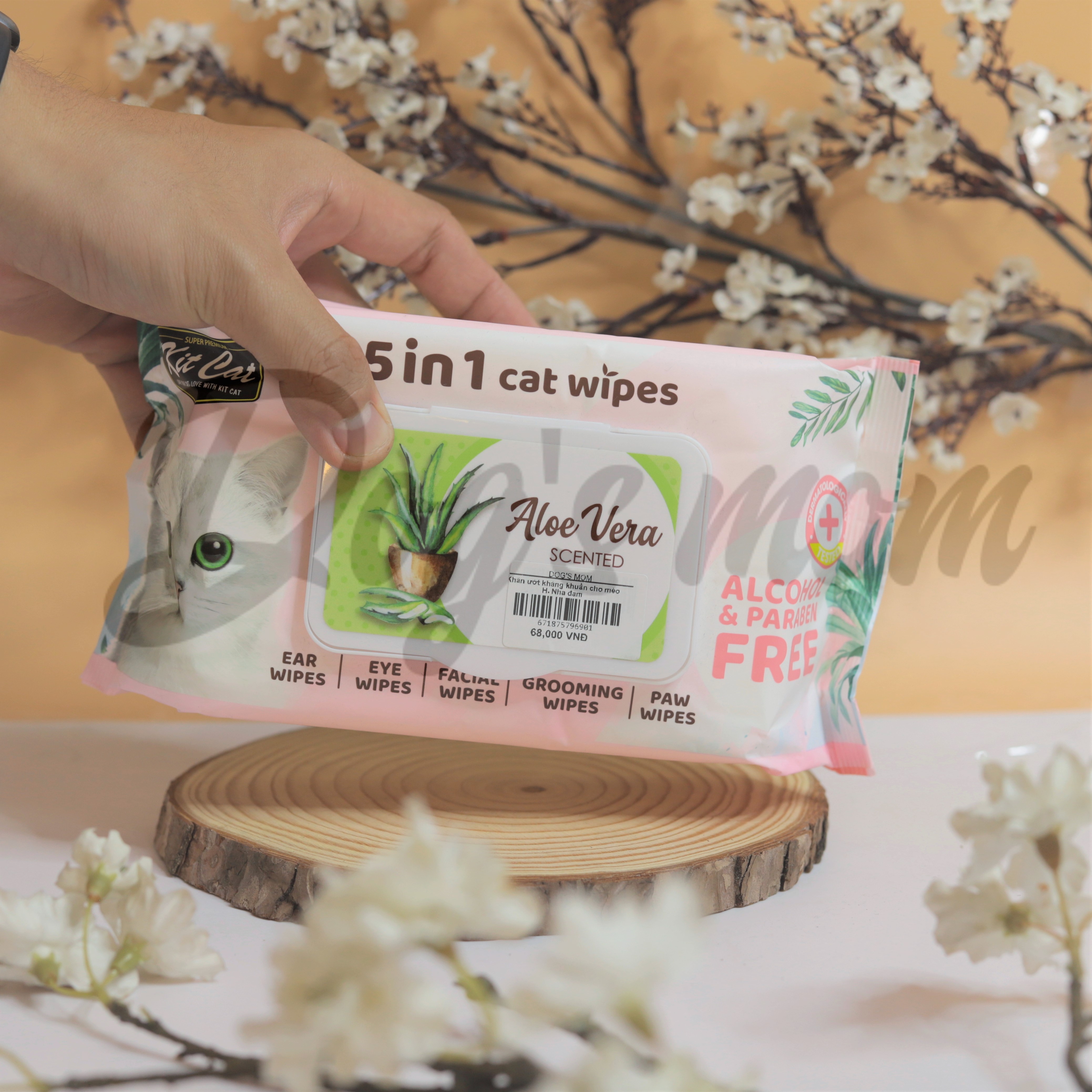 Khăn Giấy Ướt Kháng Khuẩn KitCat 5in1 Cat Wipes - Hương Nha Đam